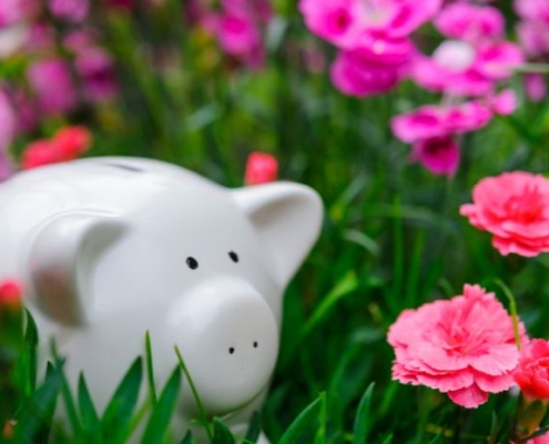 Image of a piggy bank surrounded by flowers