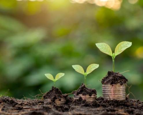 Image of three stacks of coins in soil with plant buds on top of each stack