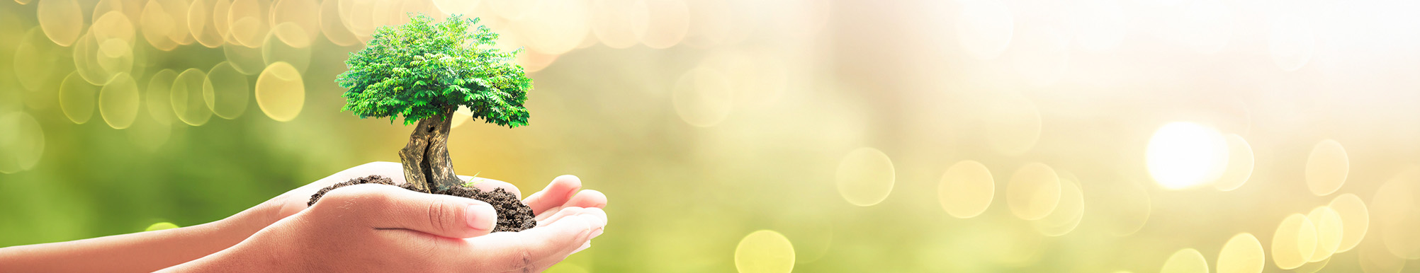 Charitable Giving Primer Article